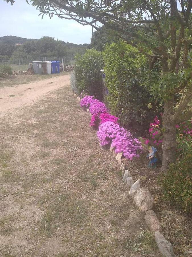 B&B Li Salcuneddi أغلينتو المظهر الخارجي الصورة
